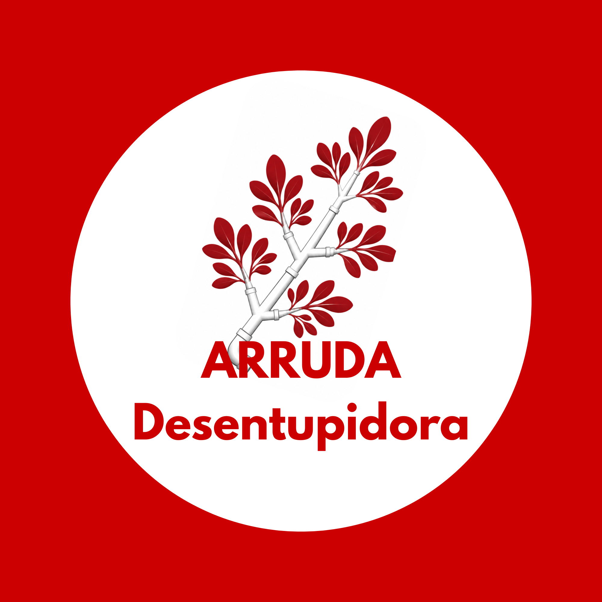 Arruda desentupidora